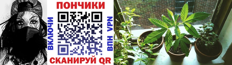 Где купить Конаково Alpha-PVP  Cocaine  Меф мяу мяу  Конопля  ГАШИШ 