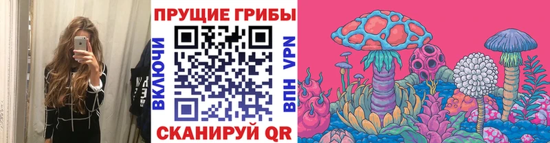 Галлюциногенные грибы MAGIC MUSHROOMS  где продают наркотики  Конаково 